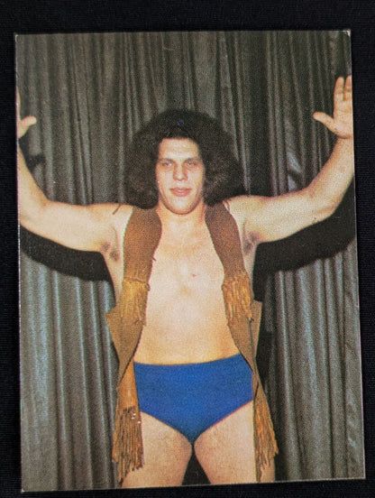 アンドレ・ザ・ジャイアント 国際プロレス選手ジャージ