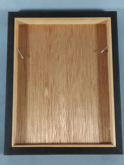 金本浩二 フォトパネル①