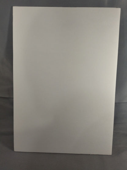 後藤洋央紀vsカール･アンダーソン フォトパネル