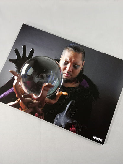 ★ ★ not sold in stores EVIL Special A4 Panel