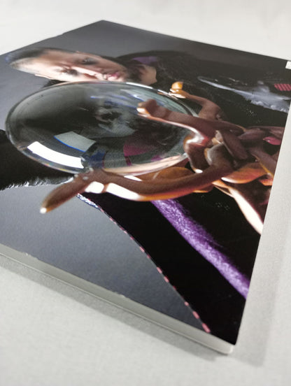 ★ ★ not sold in stores EVIL Special A4 Panel