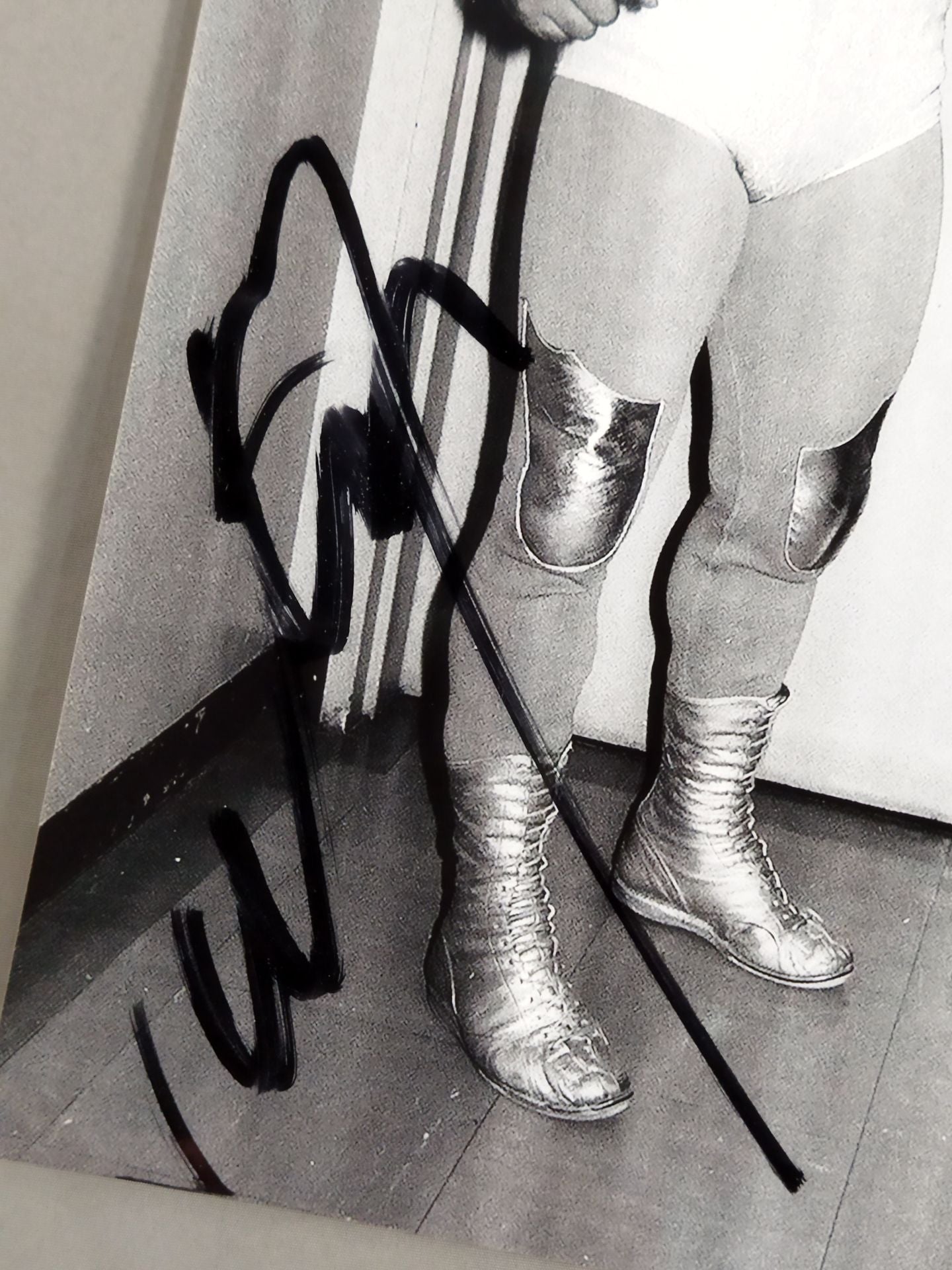 ウルトラセブン 直筆サイン入り大判写真(A-2) – 闘道館