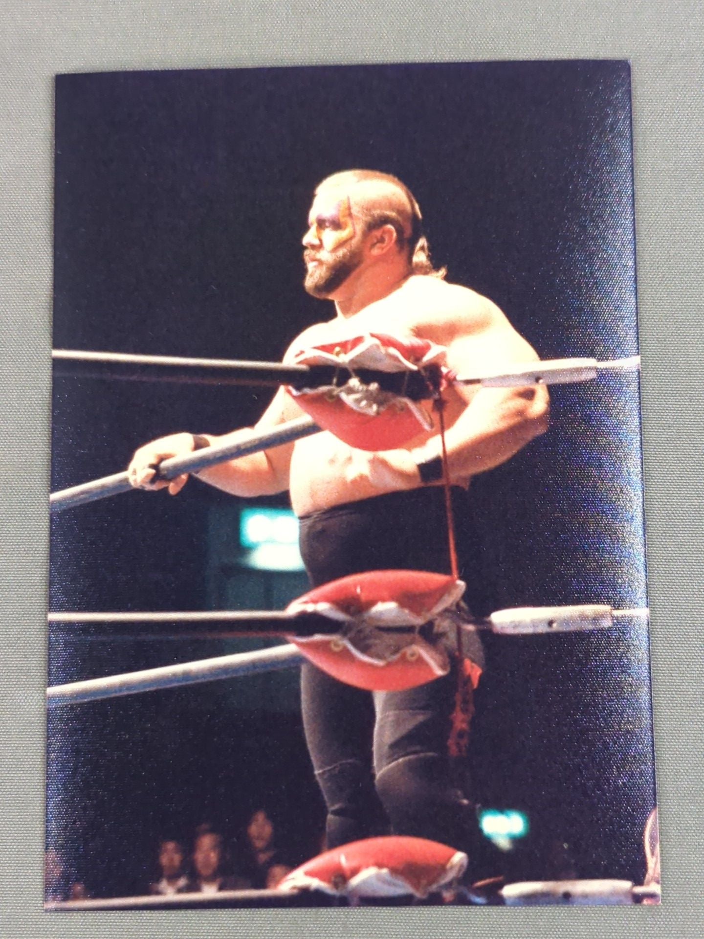 ザ・ロード・ウォリアーズ 写真セット(A-1)