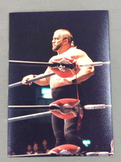 ザ・ロード・ウォリアーズ 写真セット(A-1)