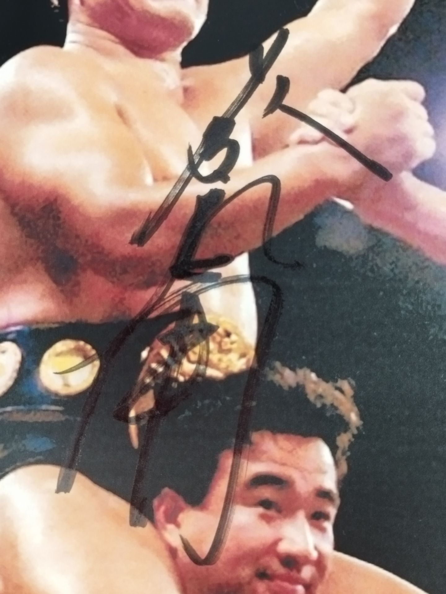 甦るBUNTAI!藤波辰巳 直筆サイン入り ポートレート② – 闘道館