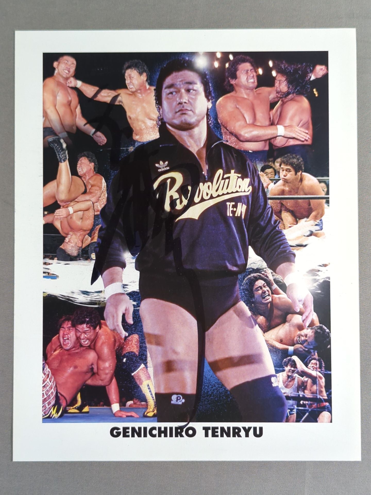 天龍源一郎 直筆サイン入りポートレート(A-1)