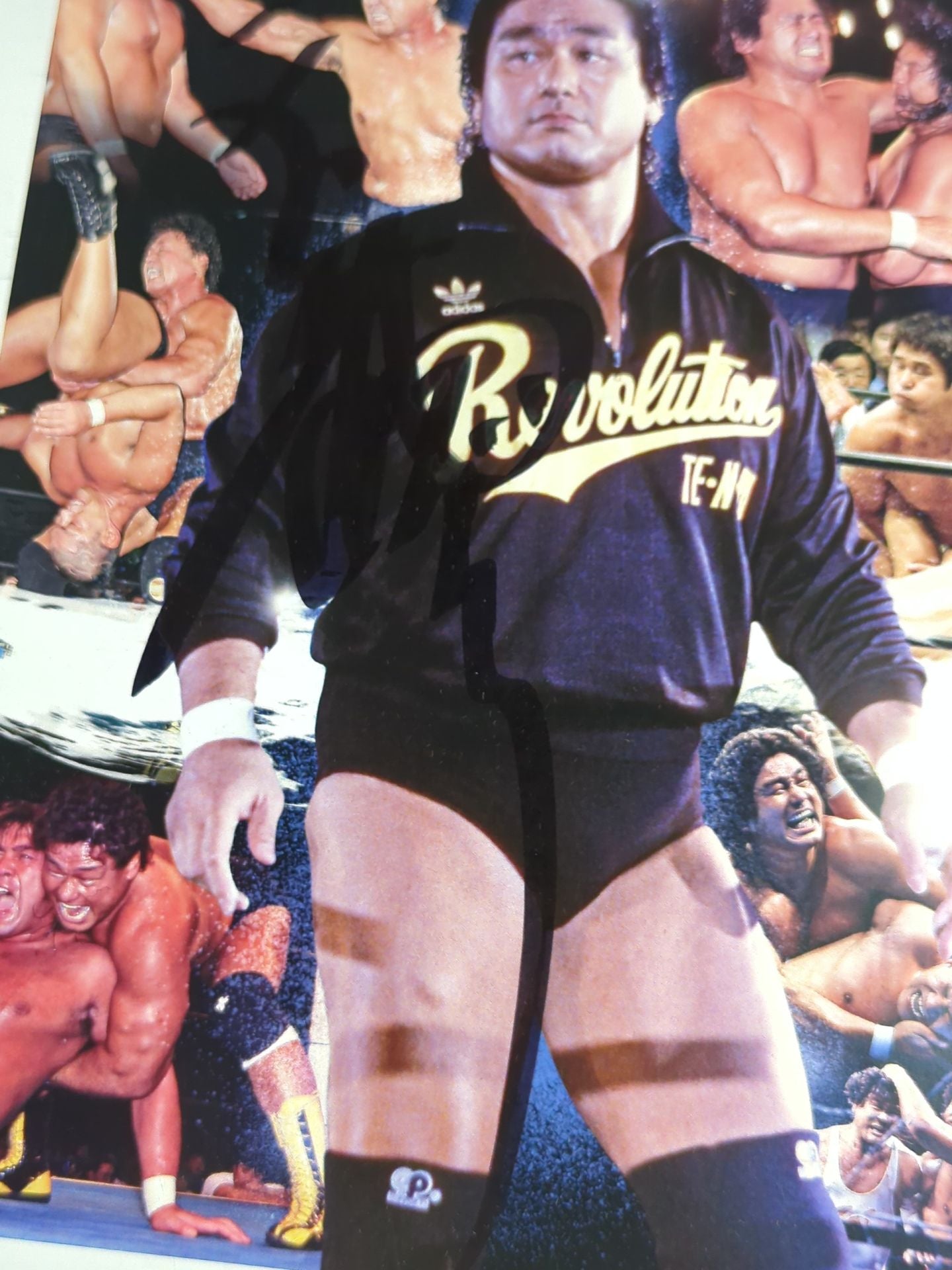 天龍源一郎 直筆サイン入りポートレート(A-1)