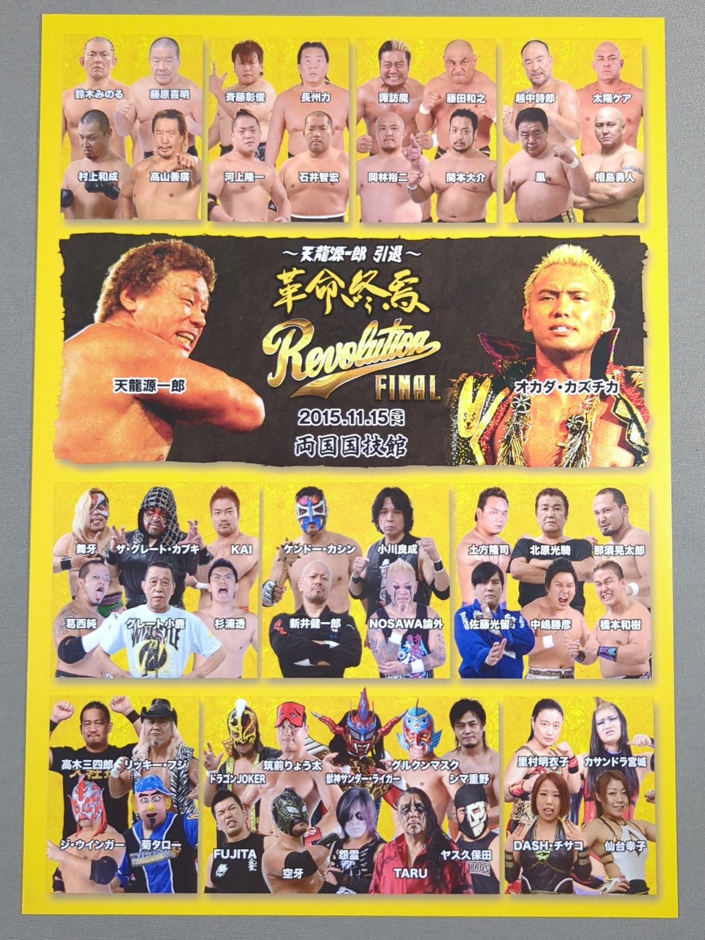 天龍源一郎 引退 革命終焉 ポートレート