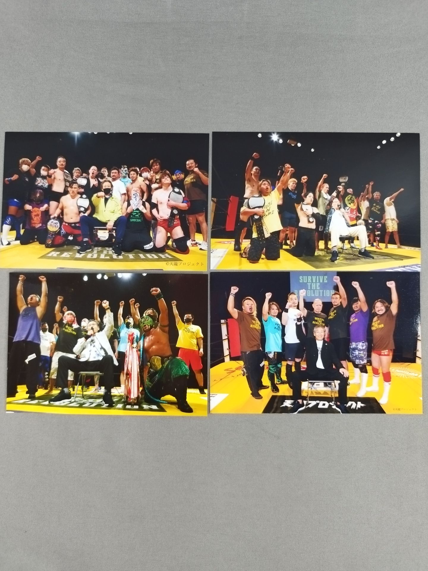 天龍プロジェクト ブロマイドセット(A-1)