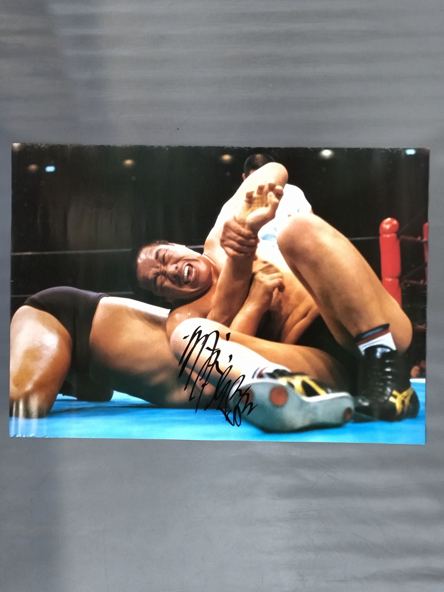 陳偉霆 昔の直筆サイン写真まとめ1 専用ページ Amazon.co.jp: ジャングルポケット 直筆サイン色紙 メンバー寄せ書き