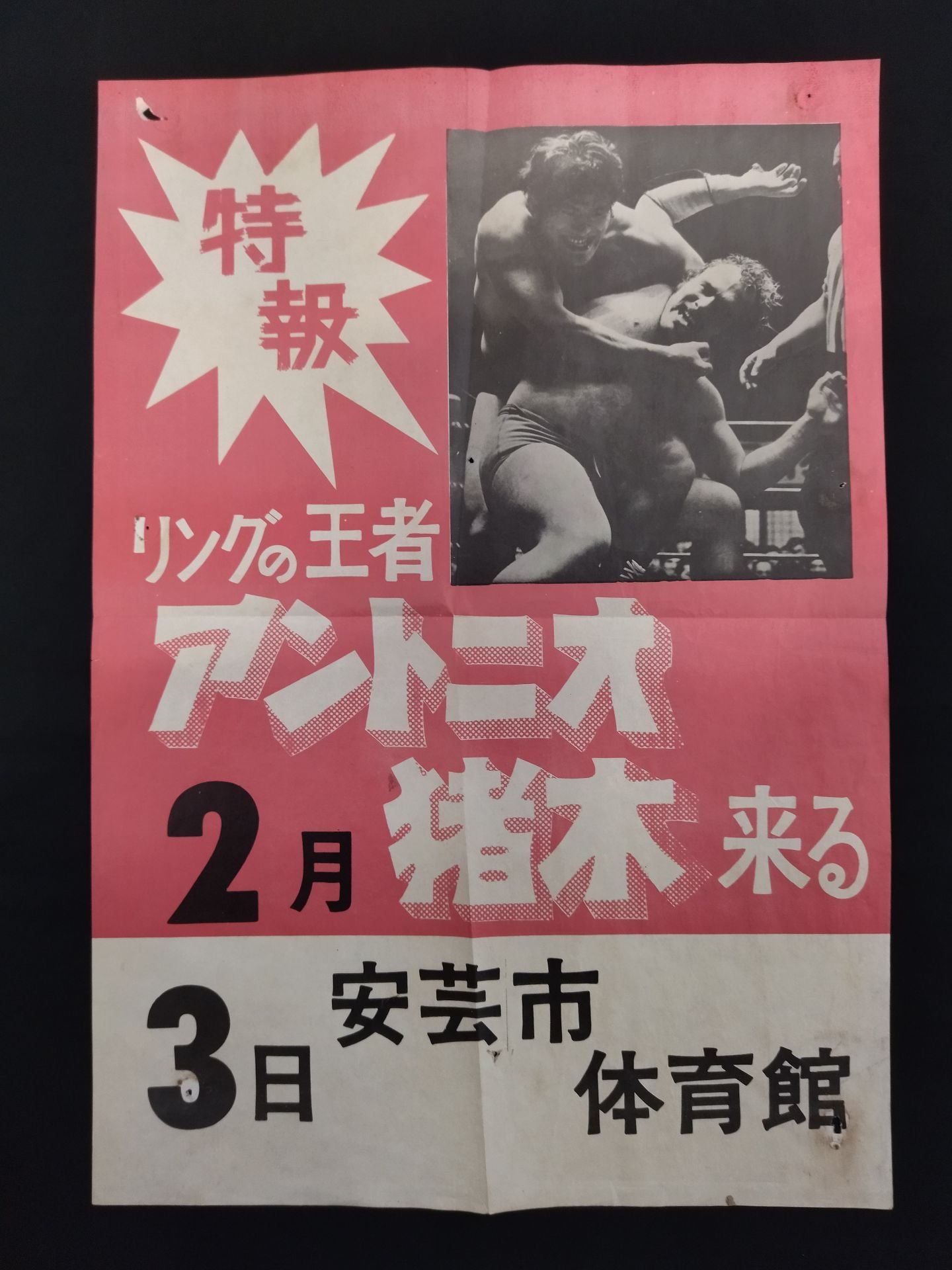 ★手帳＆写真3枚付★ 73新春バッファローシリーズ ポスター＆パンフレット