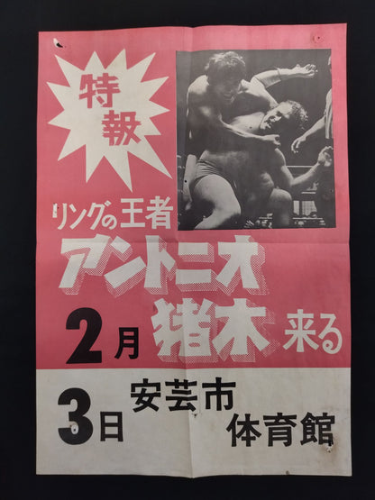 ★手帳＆写真3枚付★ 73新春バッファローシリーズ ポスター＆パンフレット