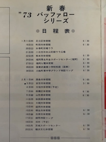 ★手帳＆写真3枚付★ 73新春バッファローシリーズ ポスター＆パンフレット