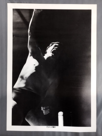 Antonio Inoki  Large format Black and White Posters(1)