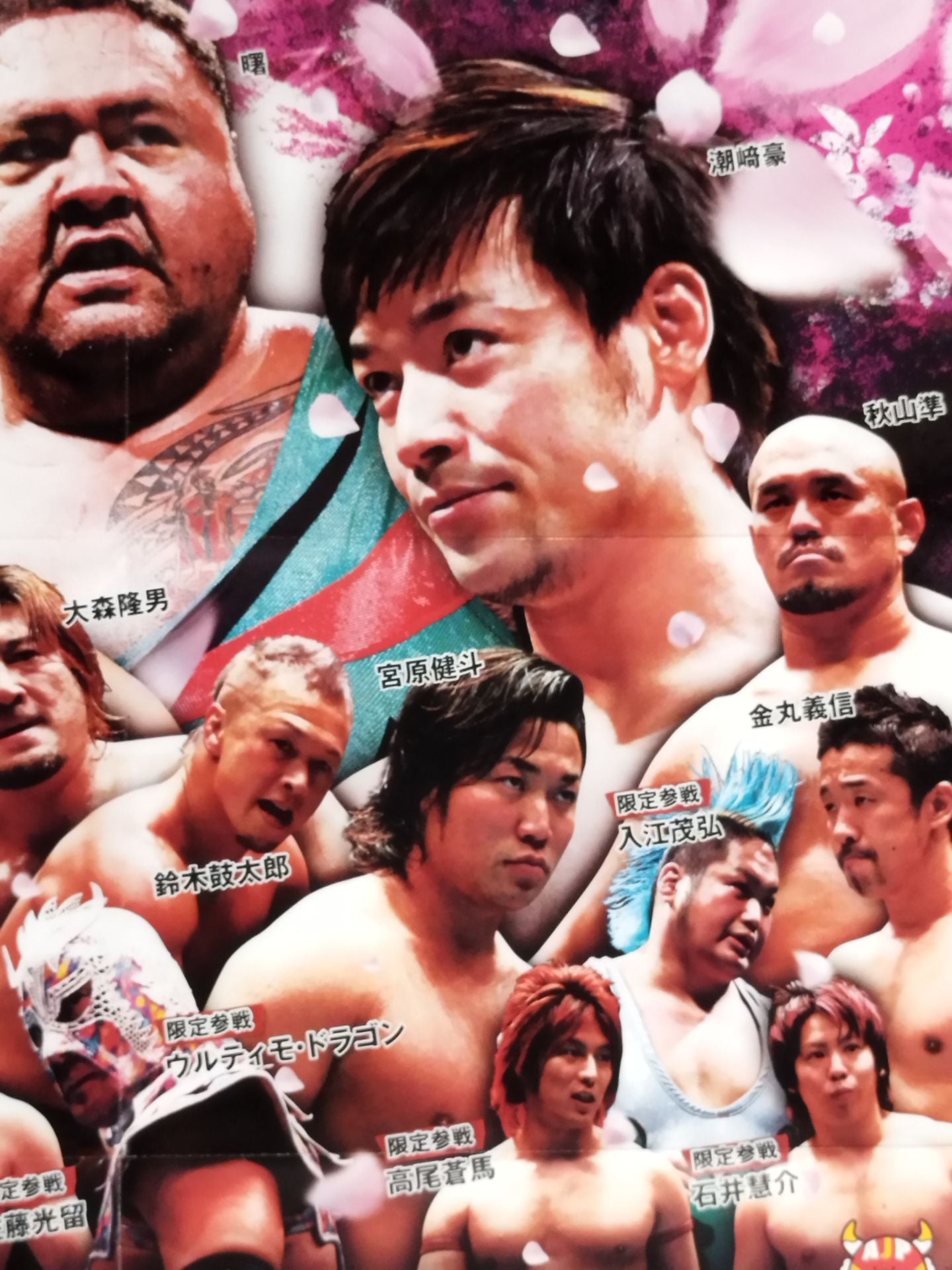 2014 ドリームパワーシリーズ