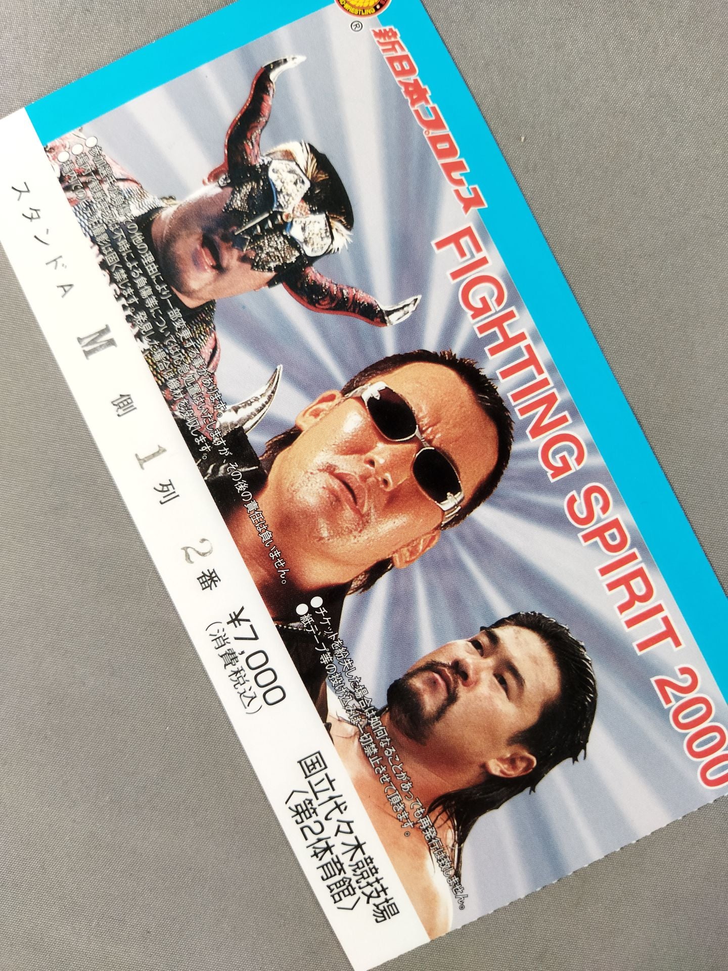FIGHTING SPIRIT 2000