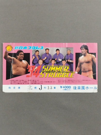 94 SUMMER STRUGGLE