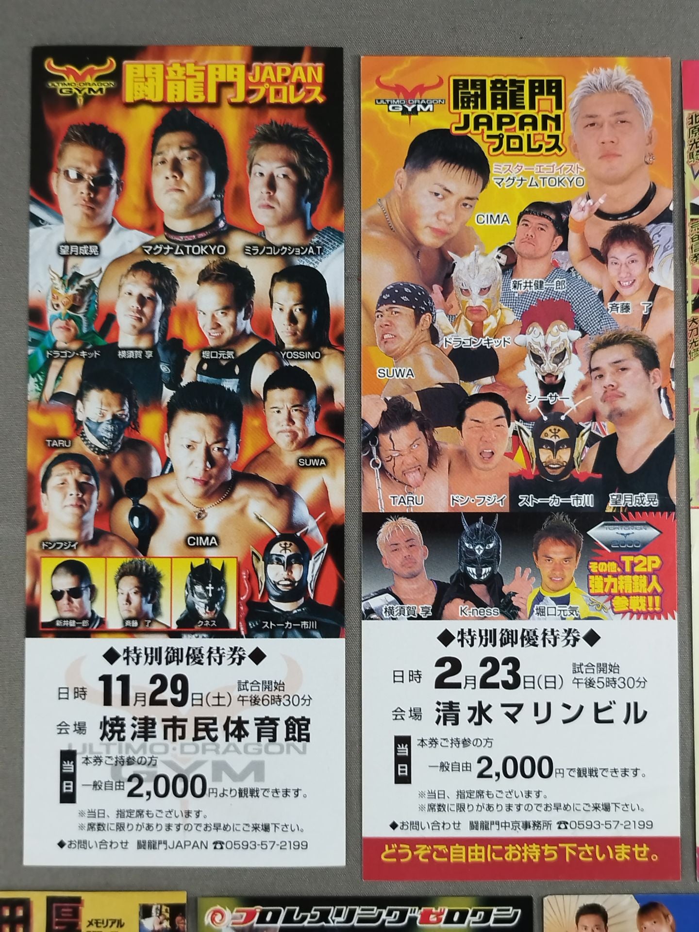 Domestic indie promotion  preferential ticket & spectator ticket set
