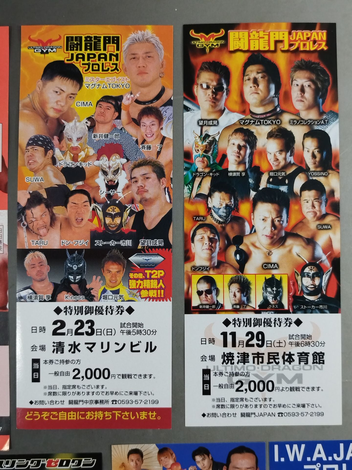 Domestic indie promotion  preferential ticket & spectator ticket set(2)