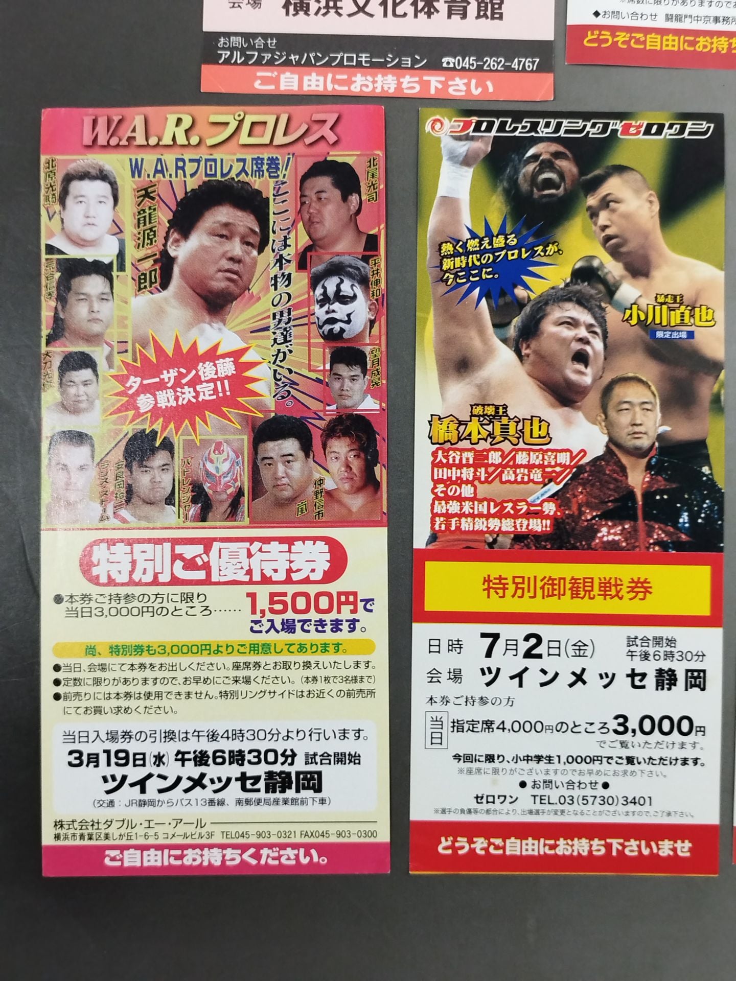 Domestic indie promotion  preferential ticket & spectator ticket set(2)