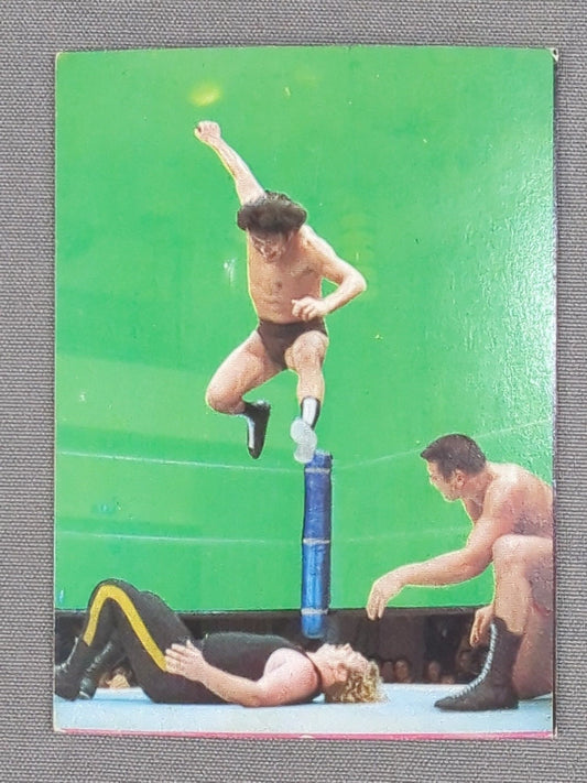 アントニオ猪木 山勝(ヤマカツ)プロレスカード(10)