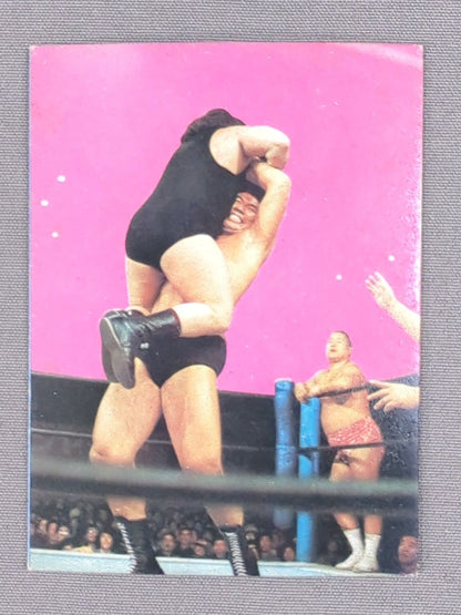 坂口征二 山勝(ヤマカツ)プロレスカード(15)