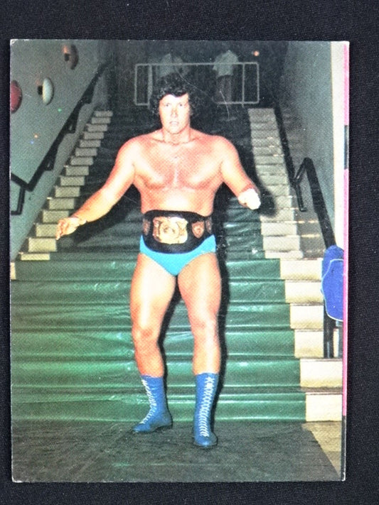 Johnny Powers Yamakatsu Pro Wrestling  Cards(26)