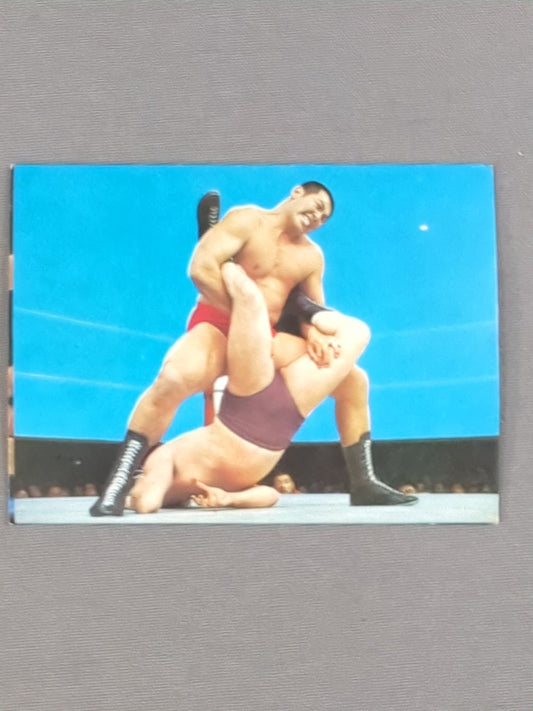 Seiji Sakaguchi Yamakatsu Pro Wrestling  Card(32)