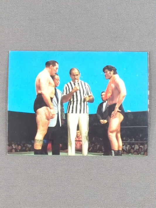 Antonio Inoki vsKarl Gotch  YamakatsuPro Wrestling  Cards(14)