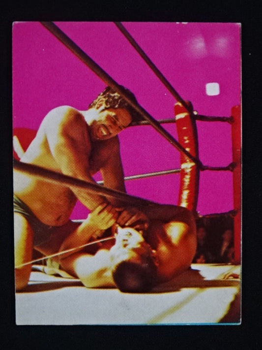 Tiger Jeet Singh  YamakatsuPro Wrestling  Cards(28)