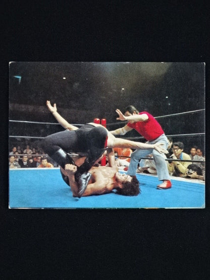 Antonio Inoki  YamakatsuPro Wrestling  Cards(31)