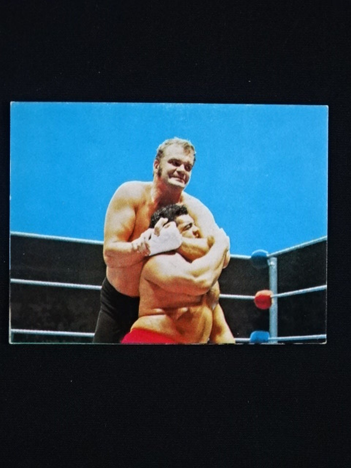 Stan Stasiak  YamakatsuPro Wrestling  Cards(38)