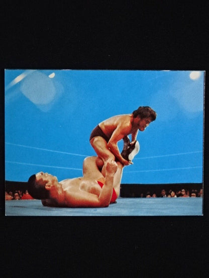 Antonio Inoki  YamakatsuPro Wrestling  Cards(7)
