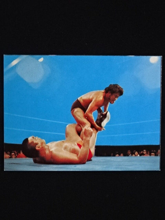 Antonio Inoki  YamakatsuPro Wrestling  Cards(7)