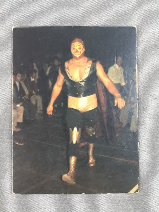 Mil Mascaras  YamakatsuPro Wrestling  Cards(37)