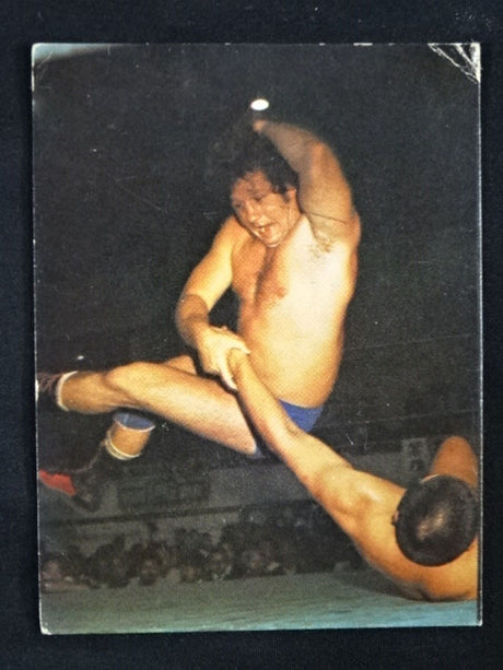 Terry Funk Yamakatsu Pro Wrestling Card (14)