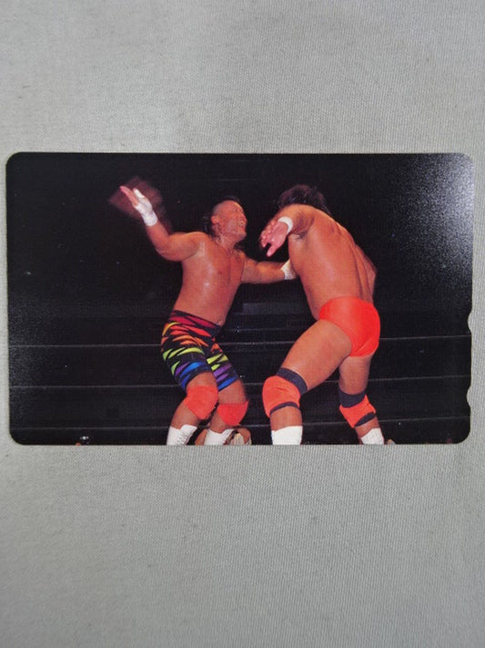Hiroyoshi Tenzan (4)