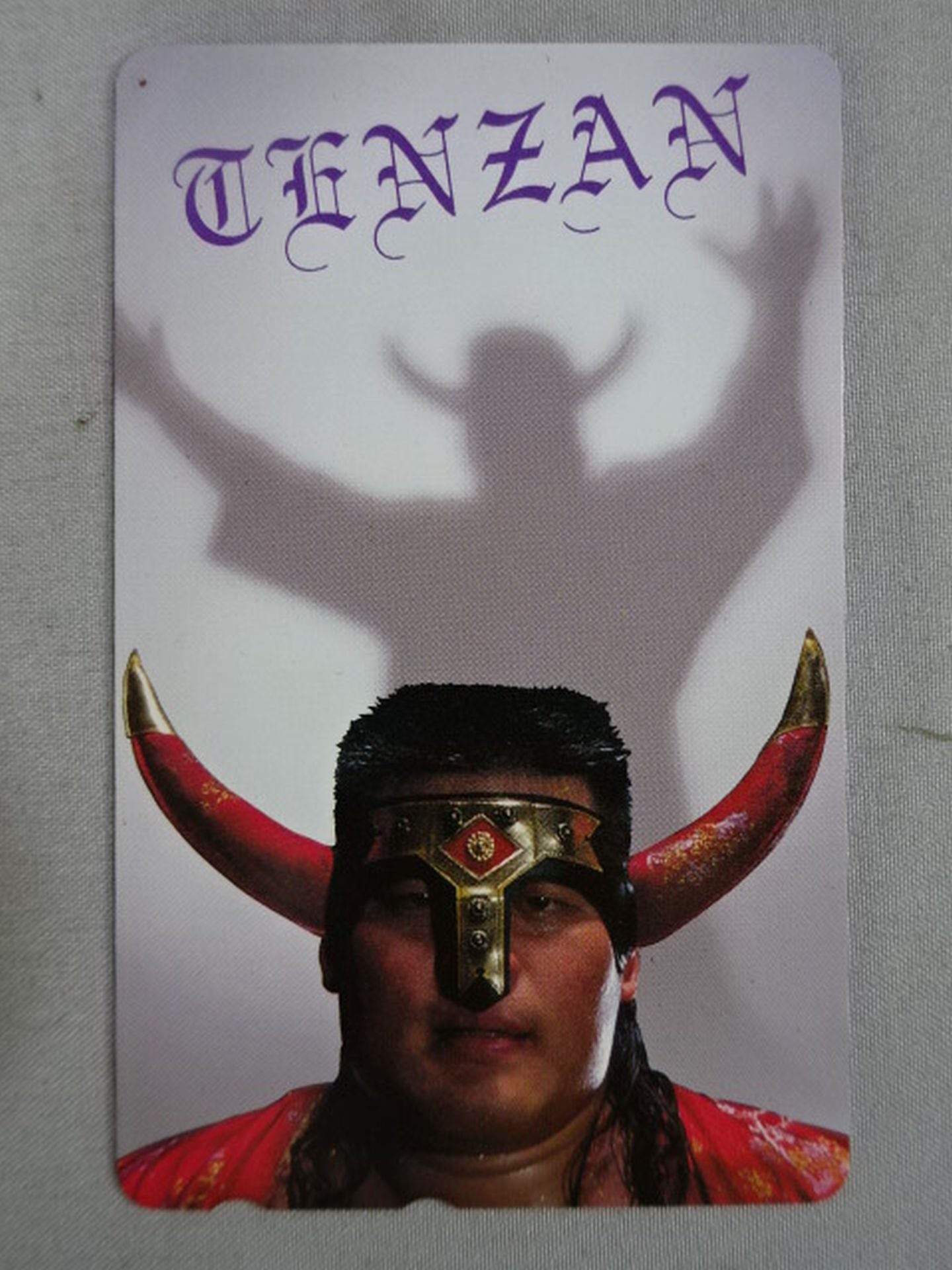 Hiroyoshi Tenzan (2)