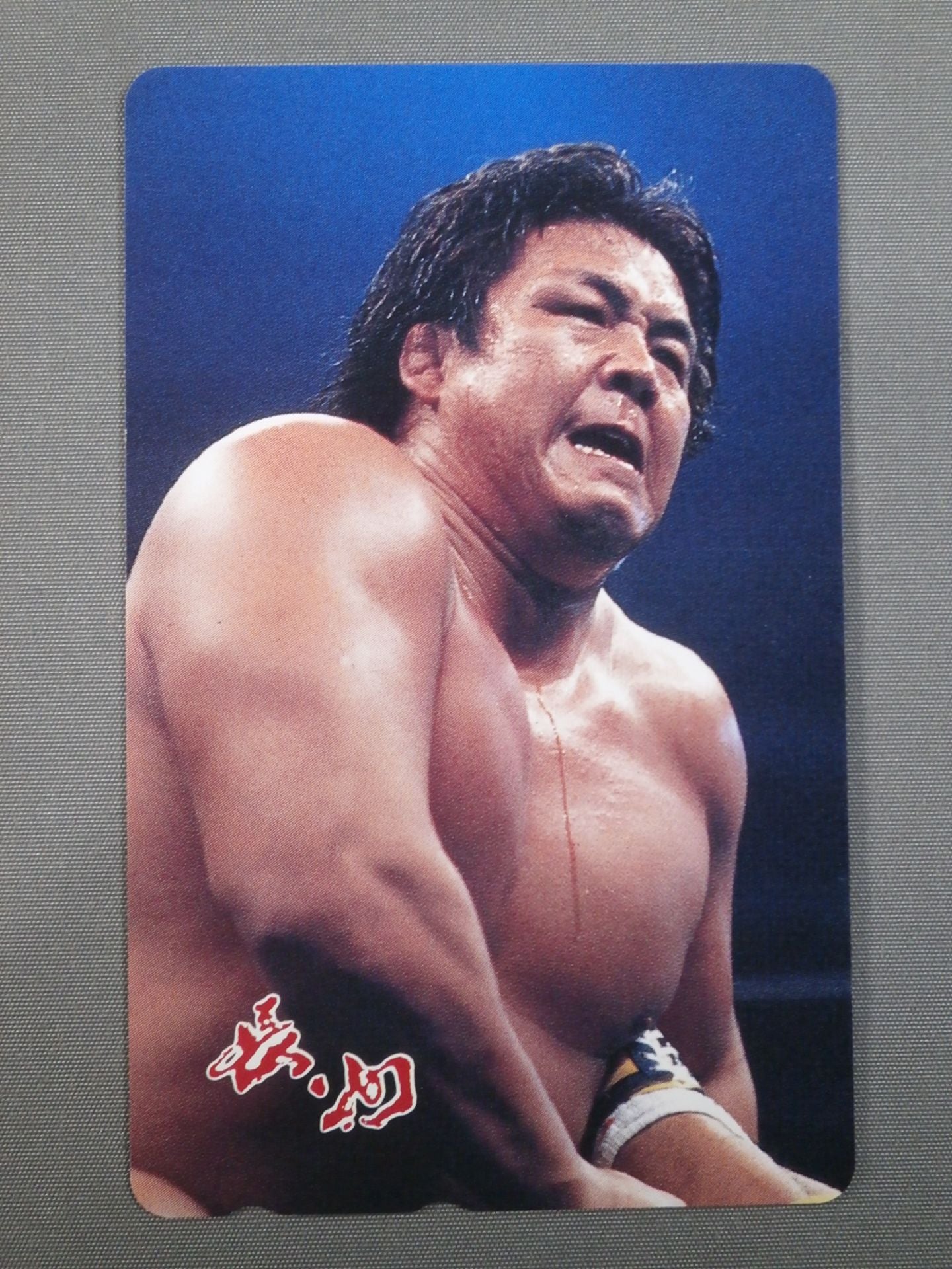 Riki Choshu  (scorpion) (2)