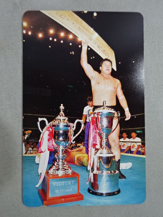 Tatsumi Fujinami  (1)