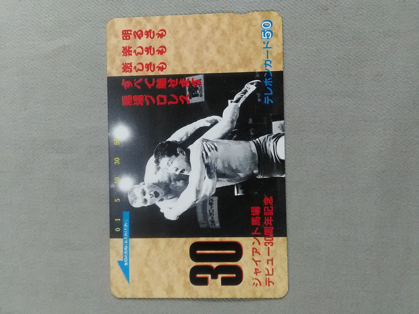 ジャイアント馬場 デビュー30周年記念