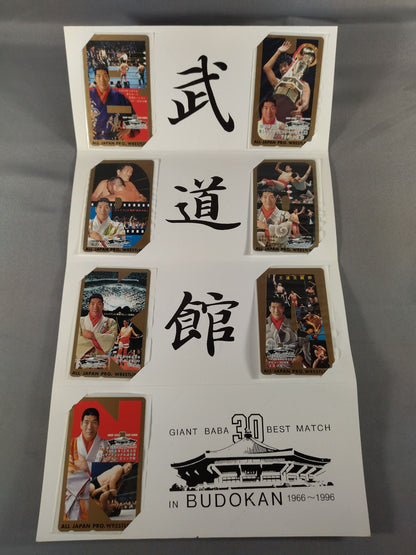 ★ The Giant of the World 30 Years of Turbulence!! ★ Giant Baba 30 BEST MATCH IN BUDOKAN