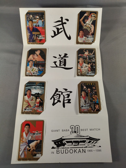 ★ The Giant of the World 30 Years of Turbulence!! ★ Giant Baba 30 BEST MATCH IN BUDOKAN