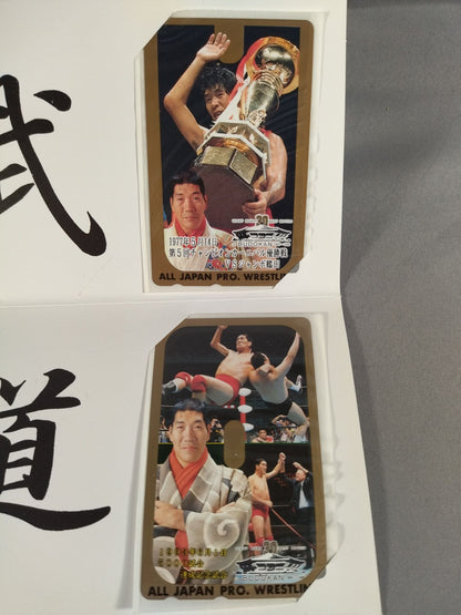★ The Giant of the World 30 Years of Turbulence!! ★ Giant Baba 30 BEST MATCH IN BUDOKAN