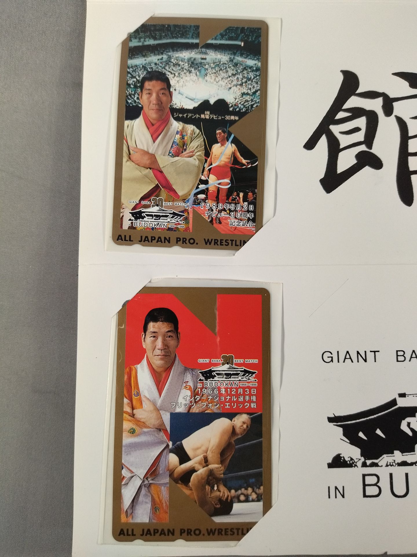 ★ The Giant of the World 30 Years of Turbulence!! ★ Giant Baba 30 BEST MATCH IN BUDOKAN