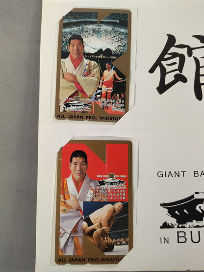 ★ The Giant of the World 30 Years of Turbulence!! ★ Giant Baba 30 BEST MATCH IN BUDOKAN