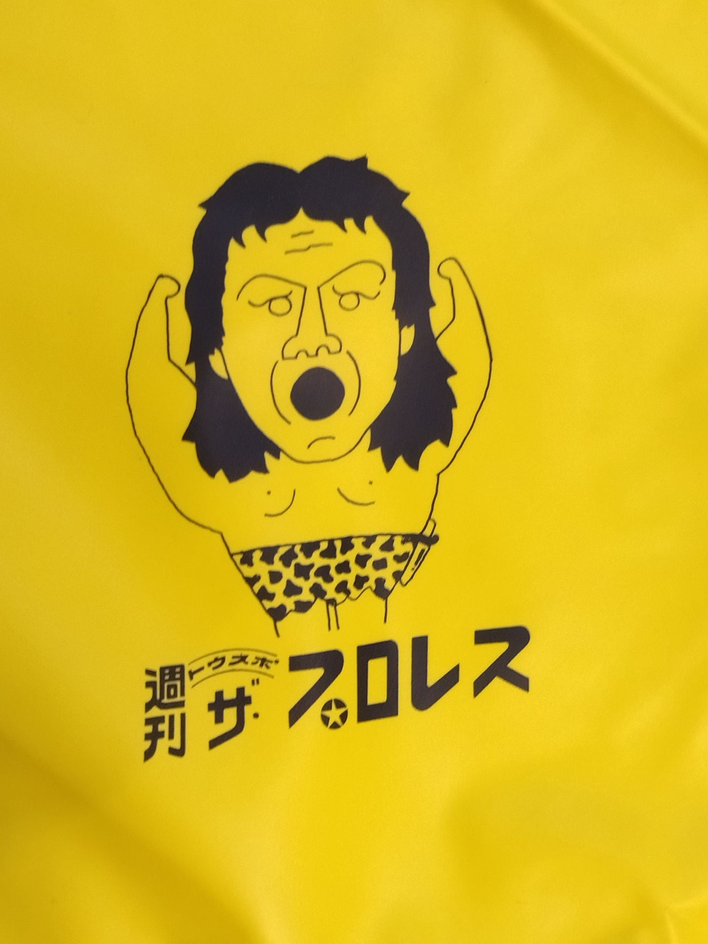 Weekly  The Pro Wrestling Riki Choshu  Poncho