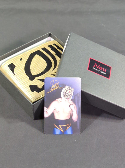 ★ ★ SCHATTEN―THE FIRST TIGER MASK MODEL