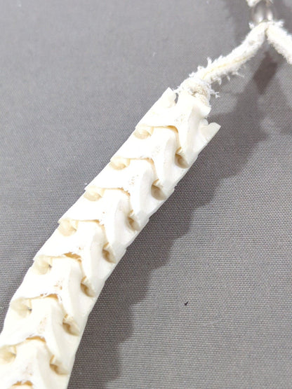 ★ ★ ARISTRIST Python Bone Necklace (White)