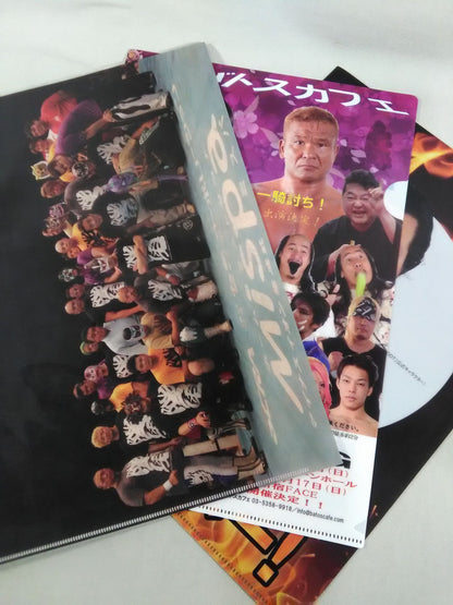 Pro Wrestling  plastic file folder  Set(10)